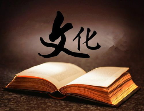 从滴滴杀人案,看传统文化的缺失