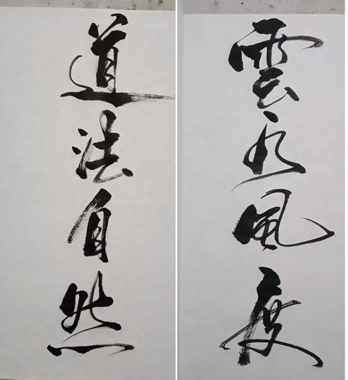 广德市 只有小学文化的农民,写书法仅一年多就无师自通