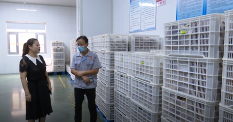 潍坊高密开展透明工厂体验日活动
