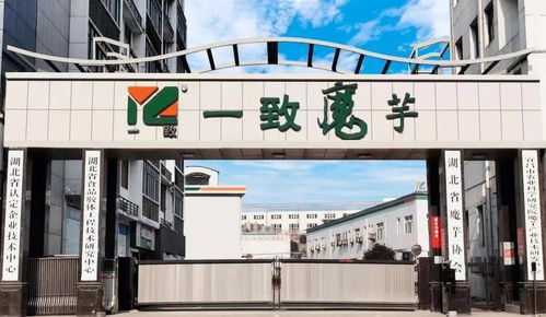 年入400亿 拯救卫龙的小零食,把月饼风头抢光了