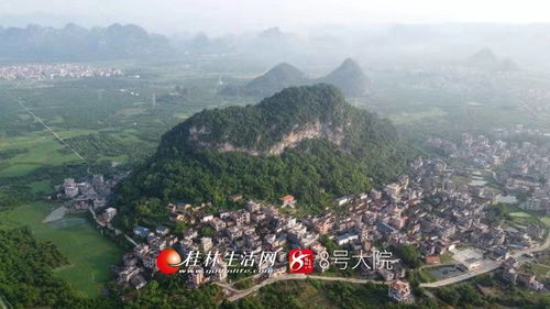 平乐 打造 三华李 乡村文化 农旅 新模式 引来众多外地游客