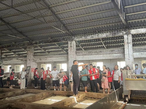 烟台智汇高新雷锋志愿者大队走进 醉 美古酿酒厂 体验烟台名片文化